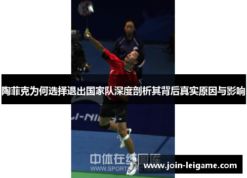 陶菲克为何选择退出国家队深度剖析其背后真实原因与影响 陶菲克为何选择退出国家队深度剖析其背后真实原因与影响